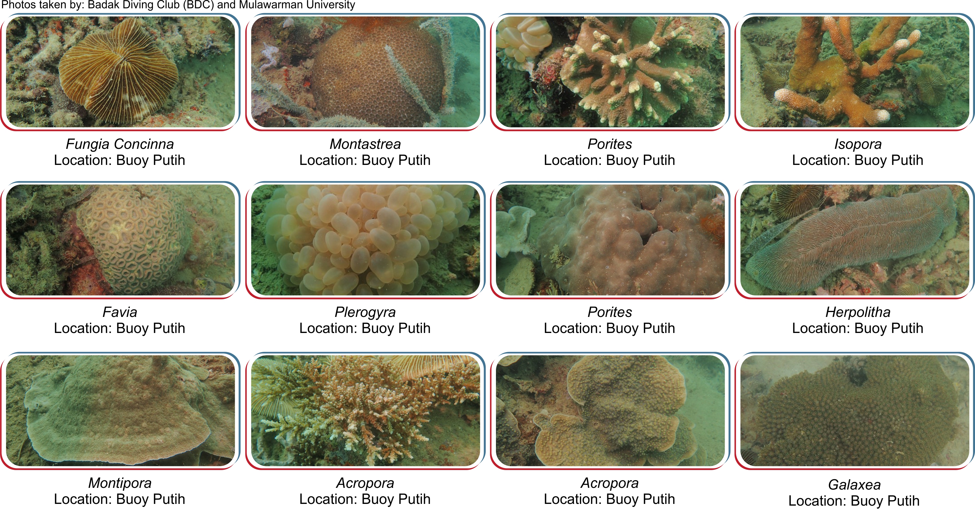 Marine Conservation Area